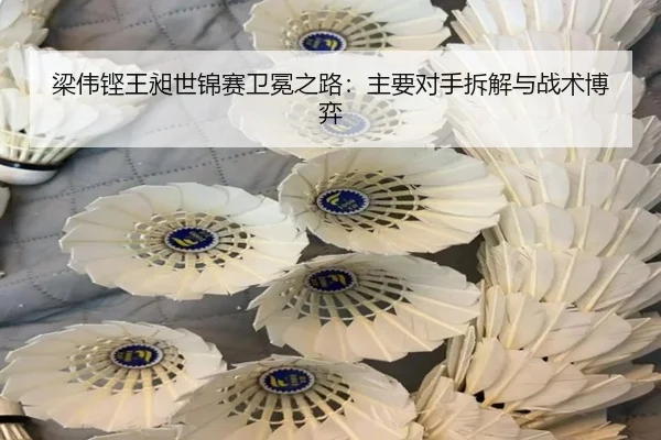 梁伟铿王昶世锦赛卫冕之路：主要对手拆解与战术博弈
