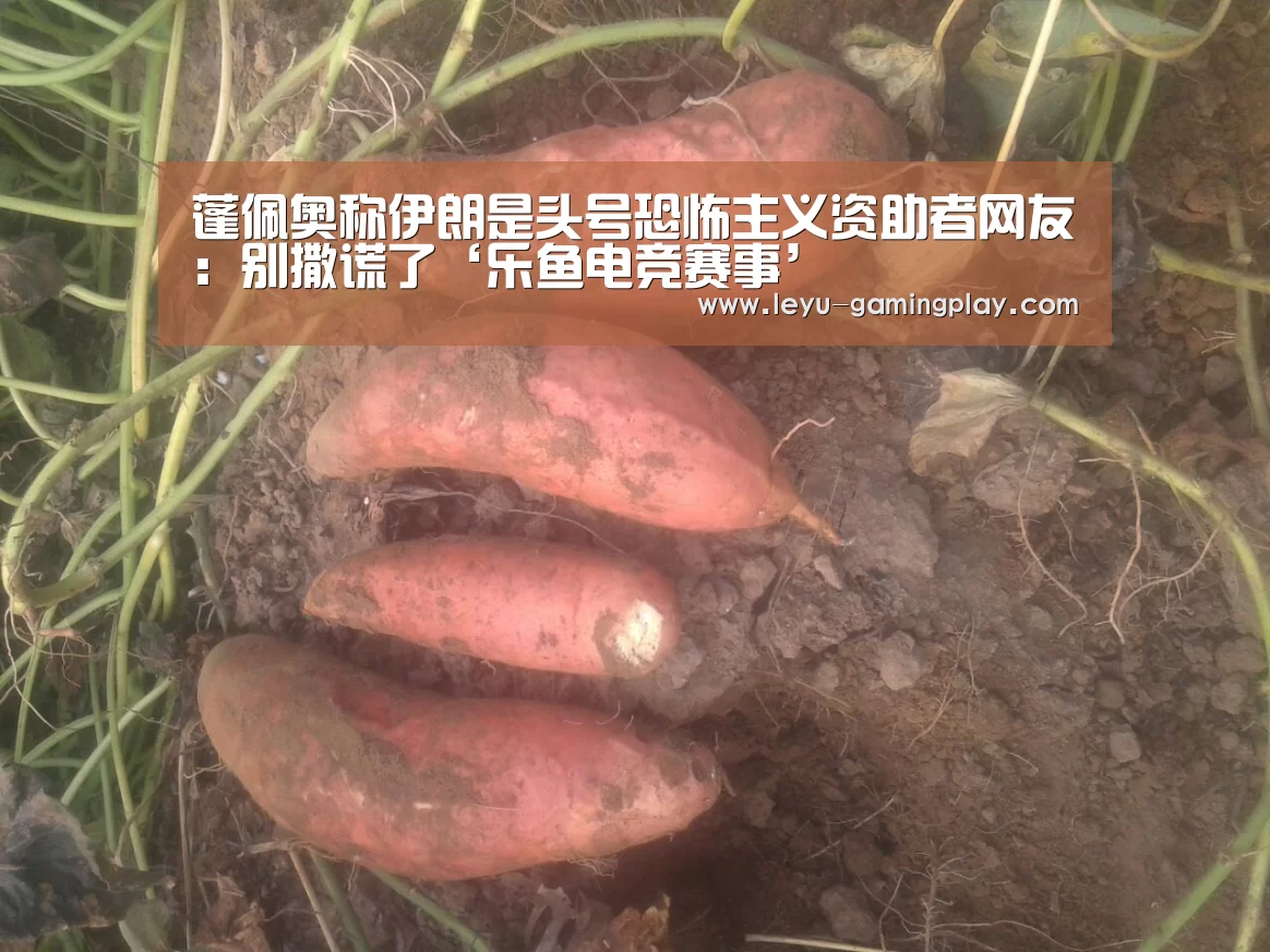 蓬佩奥称伊朗是头号恐怖主义资助者网友:别撒谎了‘乐鱼电竞赛事’(图1) 乐鱼电竞平台