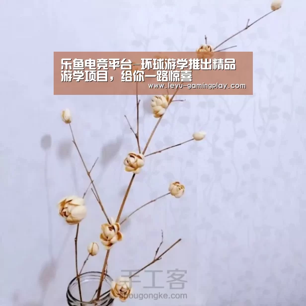 乐鱼电竞平台-环球游学推出精品游学项目,给你一路惊喜(图1) 乐鱼足球竞猜