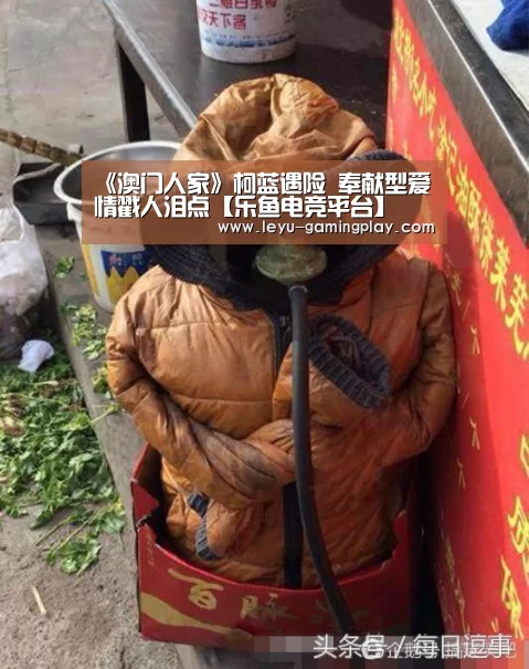 《澳门人家》柯蓝遇险 奉献型爱情戳人泪点【乐鱼电竞平台】(图1) 乐鱼电竞赛事